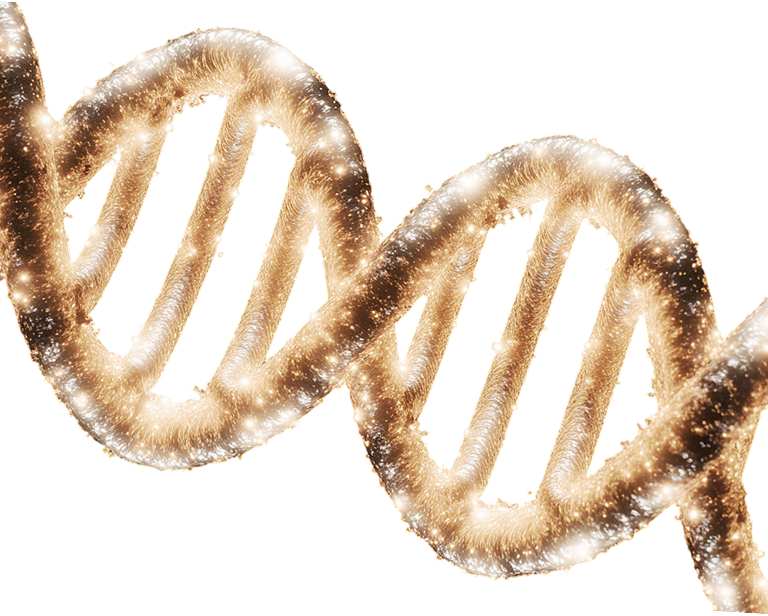 section-company-img-m