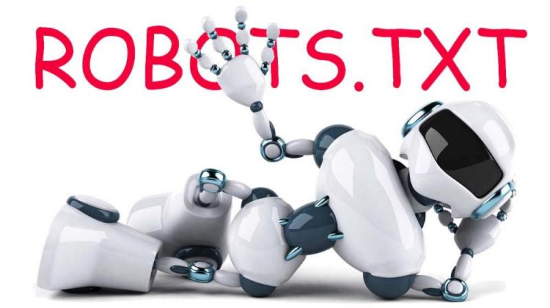 Что такое robots.txt и зачем он нужен в Сочи